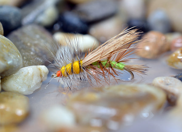 Stimulator Terrestrial Dry Fly