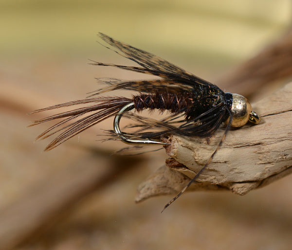 Pheasant Tail Nymph Fly with Soft Hackle Fly